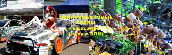 твердый Богородск