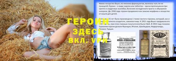 дмт Бородино