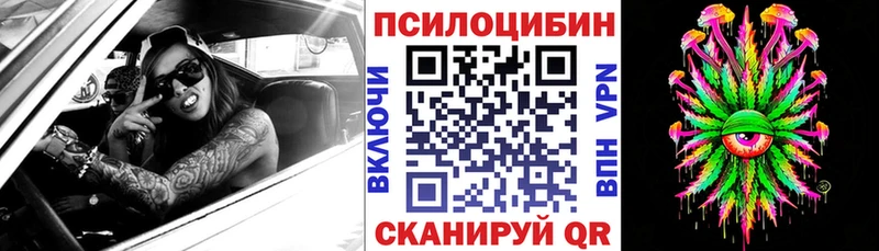 Псилоцибиновые грибы мицелий  Купить закладки  Югорск 